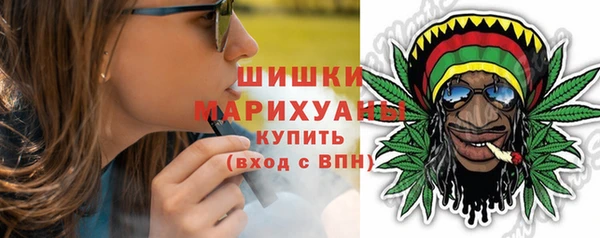 PSILOCYBIN Баксан