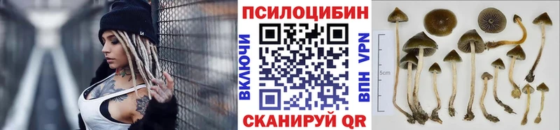нарко площадка наркотические препараты  наркошоп  Верхняя Пышма  Галлюциногенные грибы мухоморы 
