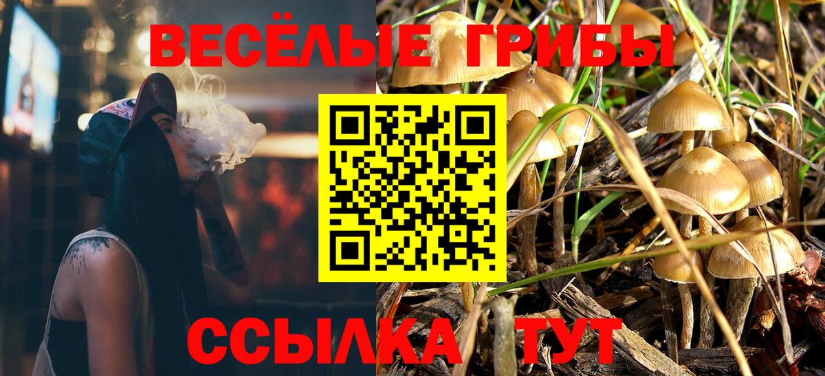 где купить наркоту  Верхняя Пышма  Псилоцибиновые грибы Cubensis  Галлюциногенные грибы мицелий 