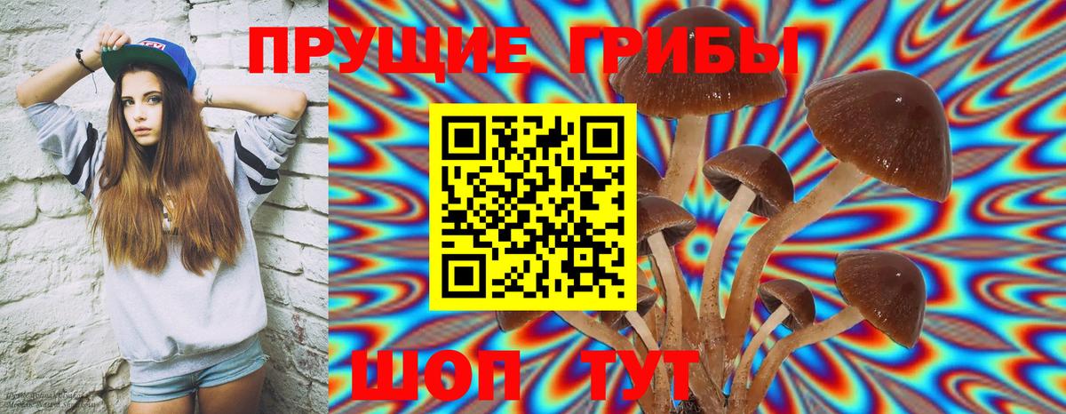 Псилоцибиновые грибы Magic Shrooms  Вход с VPN  Верхняя Пышма 